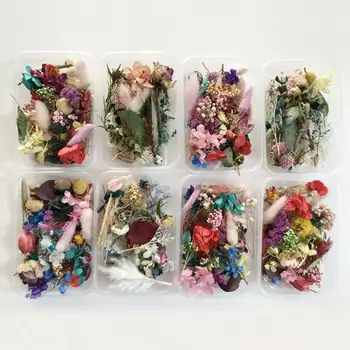 1 Karp Naturaalne Kuivatatud Lilled Vaik Ehted Kuivad Taimed Pressitud Lilled Tegemine Käsitöö DIY Tarvikud