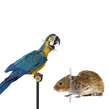 Lind Kaitsva Rant Papagoid Krae Anti Sulg Valides Ring Anti-Haara Anti-Kitkumise Ääred Elizabethan Krae Jaoks Lind 10